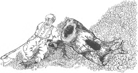 illustratie