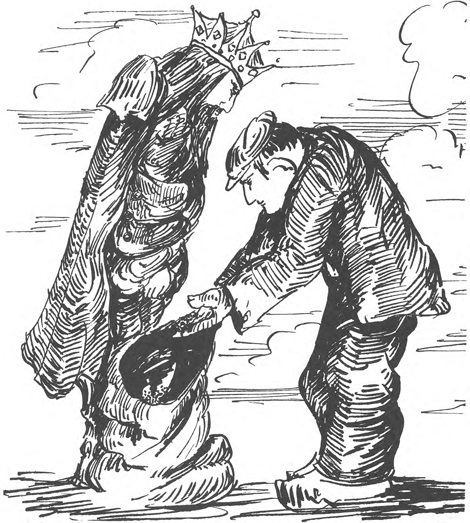 illustratie