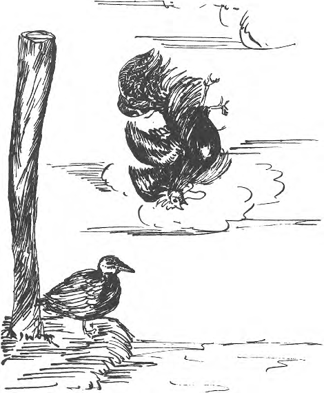 illustratie