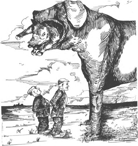 illustratie