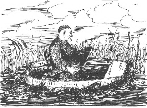 illustratie