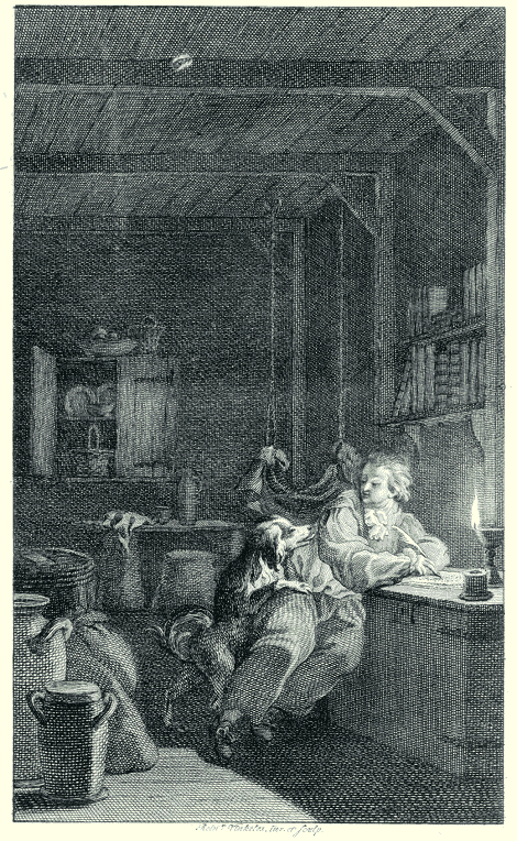 illustratie