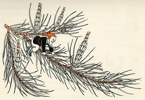 illustratie
