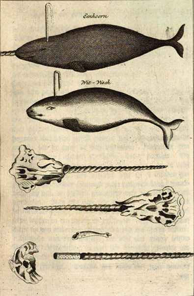 illustratie