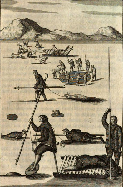 illustratie