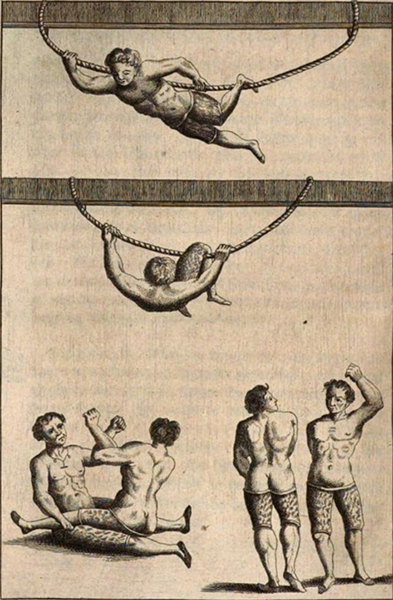 illustratie