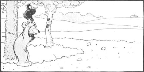 illustratie