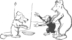 illustratie