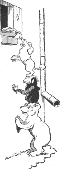 illustratie