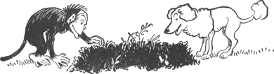 illustratie