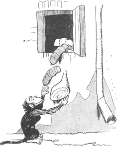 illustratie