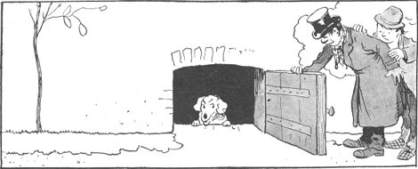 illustratie