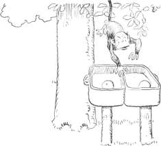 illustratie