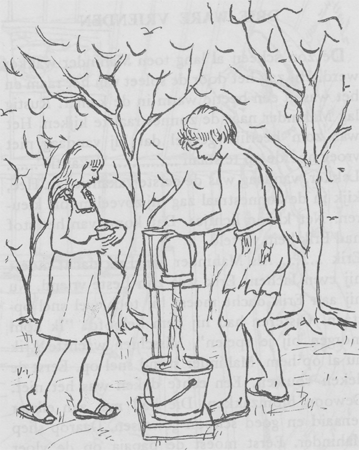 illustratie