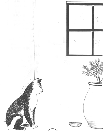 illustratie
