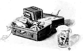 illustratie