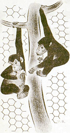 illustratie