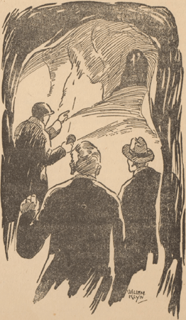 illustratie