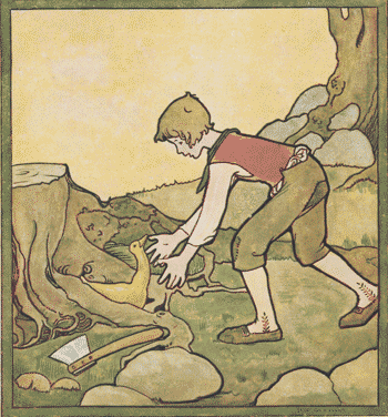 illustratie