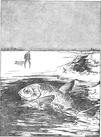 illustratie