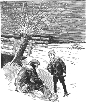 illustratie