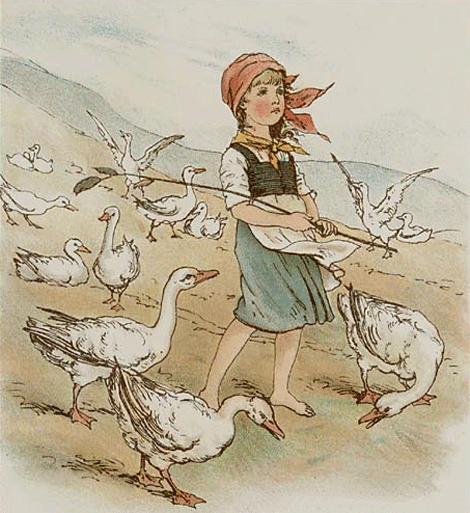 illustratie