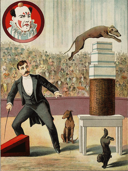 illustratie
