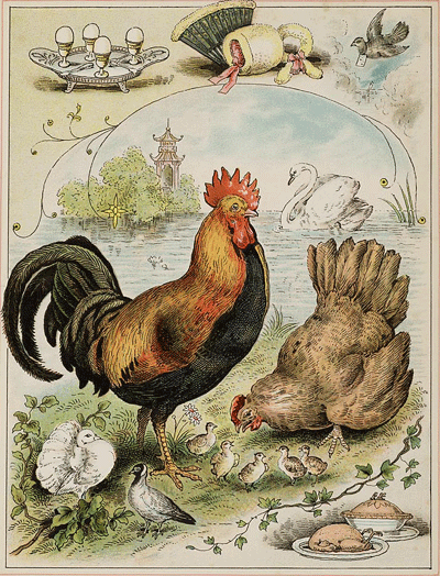 illustratie
