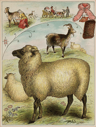 illustratie