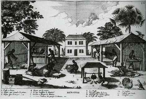 illustratie