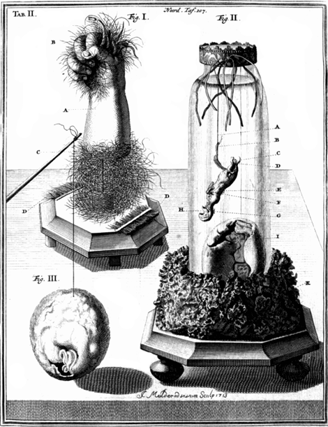 illustratie