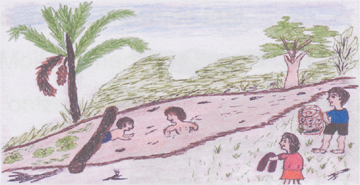 illustratie