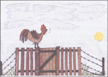 illustratie