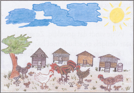 illustratie