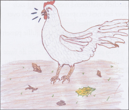 illustratie