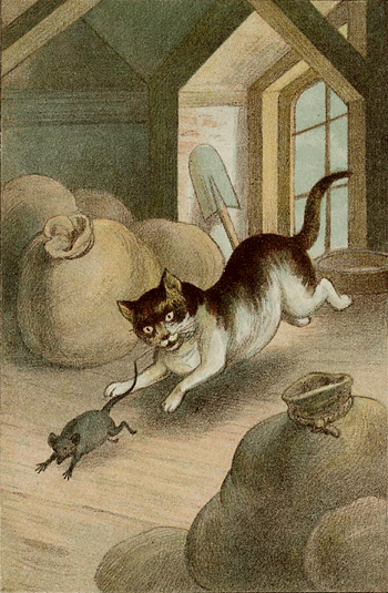 illustratie