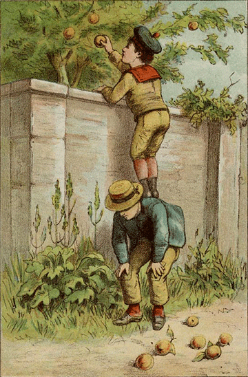 illustratie