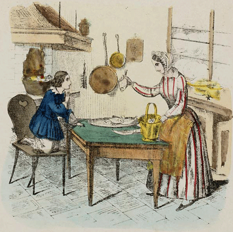 illustratie