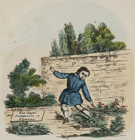 illustratie