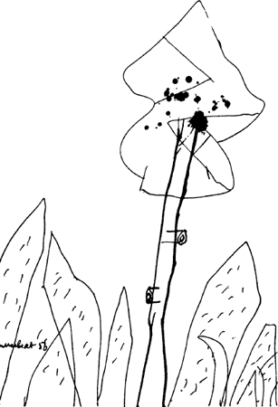 illustratie
