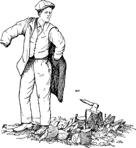 illustratie