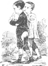 illustratie