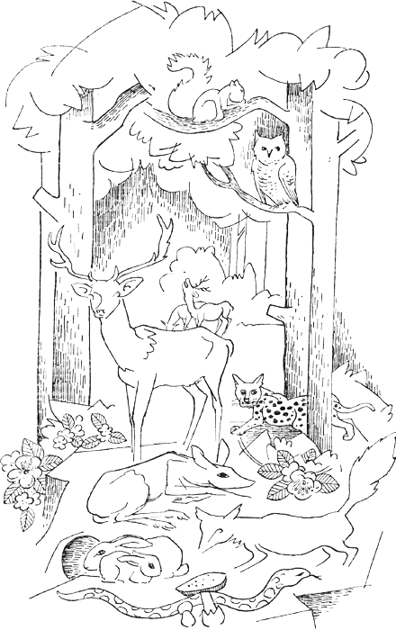 illustratie