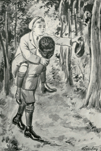 illustratie
