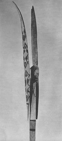 51