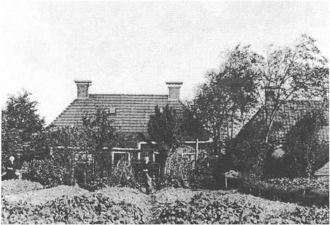 illustratie