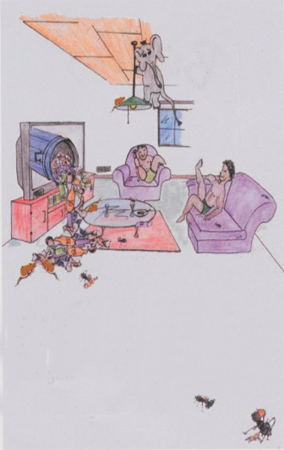 illustratie