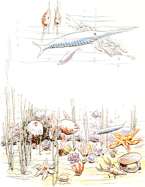 illustratie