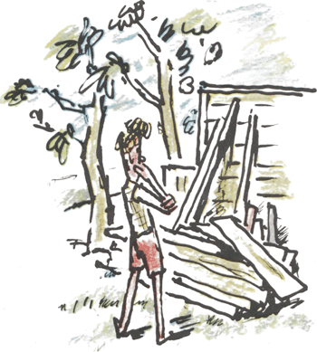 illustratie