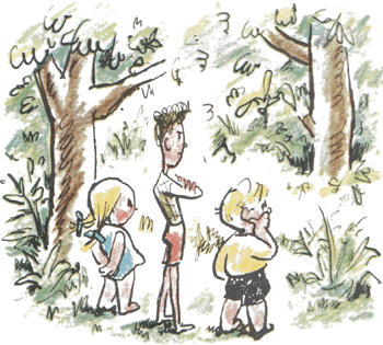 illustratie